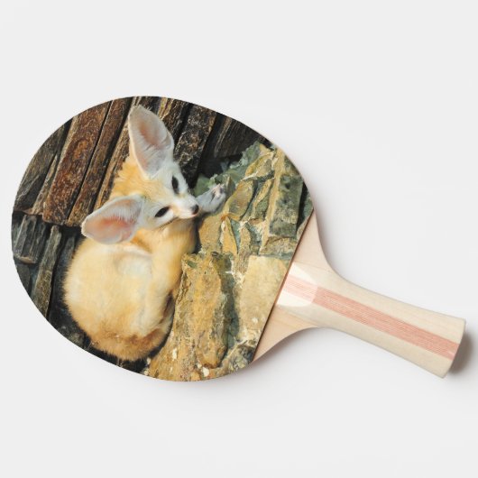 Niedlicher fennec Fuchs Tischtennis Schläger (Seitenansicht)
