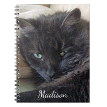 Niedlicher Fluffy Black Cat Foto Personalisiert Na