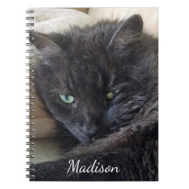 Niedlicher Fluffy Black Cat Foto Personalisiert Na Notizblock