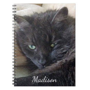 Niedlicher Fluffy Black Cat Foto Personalisiert Na Notizblock
