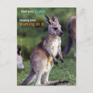 Niedlicher Fluffy Kangaroo Feiertagspostkarte