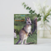 Niedlicher Fluffy Kangaroo Feiertagspostkarte (Stehend Vorderseite)