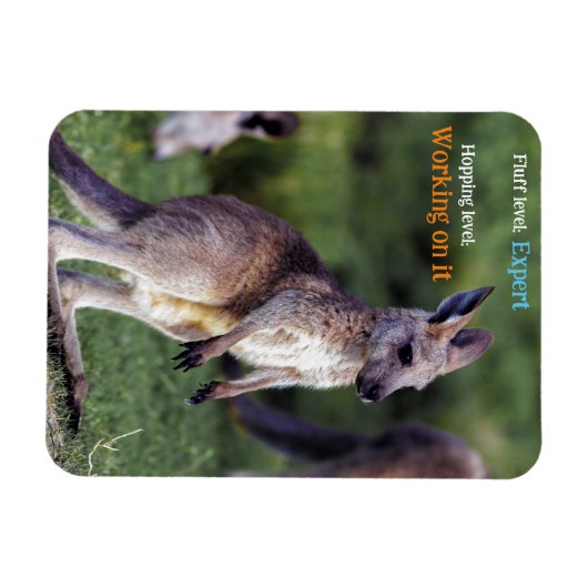 Niedlicher Fluffy Kangaroo Magnet (Horizontal)