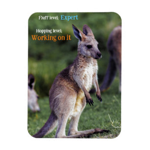 Niedlicher Fluffy Kangaroo Magnet