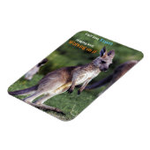 Niedlicher Fluffy Kangaroo Magnet (Linke Seite)