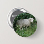 Niedlicher Fluffy White Sheep Eating Button (Vorne & Hinten)