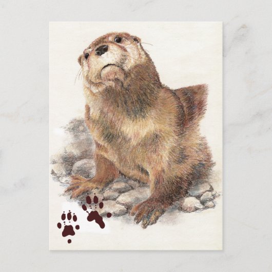 Niedlicher Fluss Otter, Tier und Tracks, Natur Postkarte (Vorderseite)