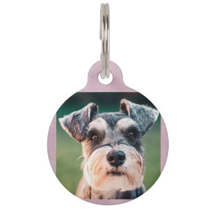 Niedlicher Foto- und QR-Code Pink Hund Pet ID Ta Haustiermarke