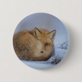 Niedlicher Fox hat das Foto im Winter aufgerissen Button