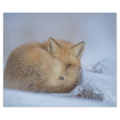 Niedlicher Fox hat das Foto im Winter aufgerissen Geschenkpapier (Flach)