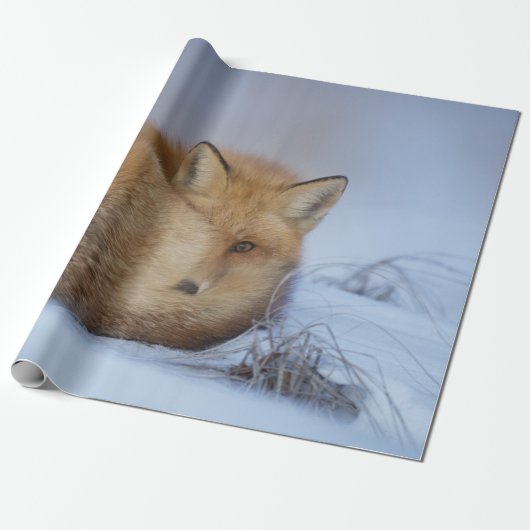 Niedlicher Fox hat das Foto im Winter aufgerissen Geschenkpapier (Ungerollt)