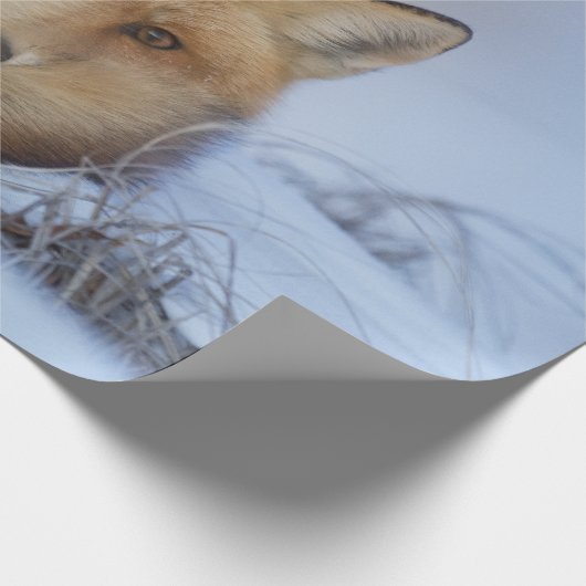 Niedlicher Fox hat das Foto im Winter aufgerissen Geschenkpapier (Ecke)