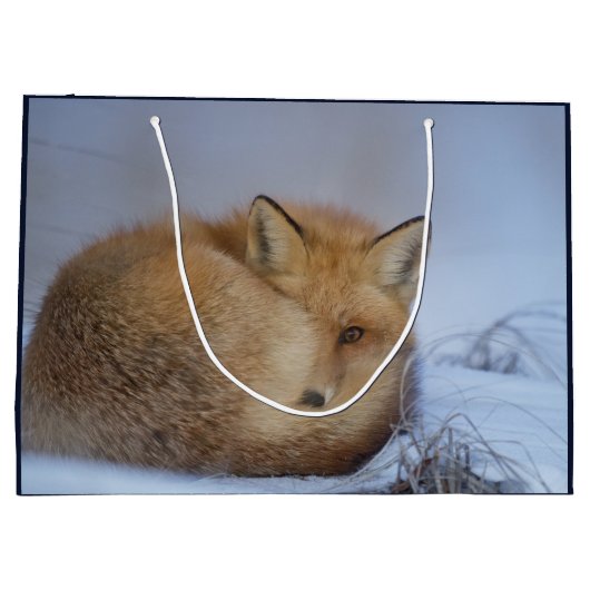 Niedlicher Fox hat das Foto im Winter aufgerissen Große Geschenktüte (Rückseite)