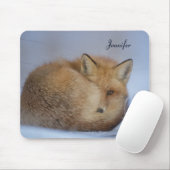 Niedlicher Fox hat das Foto im Winter aufgerissen Mousepad (Mit Mouse)