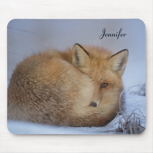 Niedlicher Fox hat das Foto im Winter aufgerissen Mousepad (Vorne)