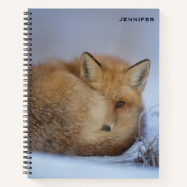 Niedlicher Fox hat das Foto im Winter aufgerissen Notizblock