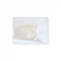 Niedlicher Fox hat das Foto im Winter aufgerissen