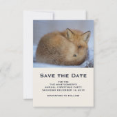 Niedlicher Fox hat das Foto im Winter aufgerissen Save The Date (Vorderseite)