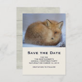 Niedlicher Fox hat das Foto im Winter aufgerissen Save The Date (Vorne/Hinten)