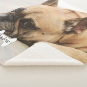 Niedlicher französische Bulldogge Frenchie Sherpadecke (3/4)