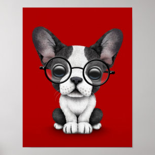 Niedlicher französische Bulldoggen-Welpe mit den Poster