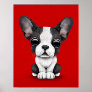 Niedlicher französische Bulldoggen-Welpen-Hund auf Poster