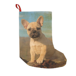 Niedlicher französische Bulldoggen-Welpen-Vintager Kleiner Weihnachtsstrumpf