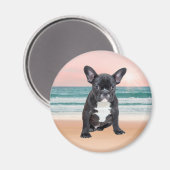 Niedlicher französischer Bulldog Beach Magnet (Vorderseite/Rückseite)
