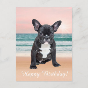 Niedlicher französischer Bulldog Beach Postkarte