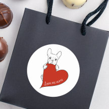 Niedlicher französischer Bulldog mit einem roten H