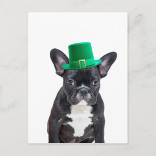 Niedlicher französischer Bulldog mit Hat St. Patri Postkarte