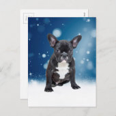 Niedlicher französischer Bulldog Snow Stars Feiertagspostkarte (Vorne/Hinten)