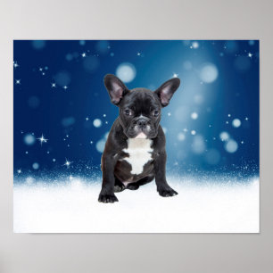Niedlicher französischer Bulldog Snow Stars Poster