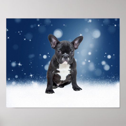 Niedlicher französischer Bulldog Snow Stars Poster (Vorne)