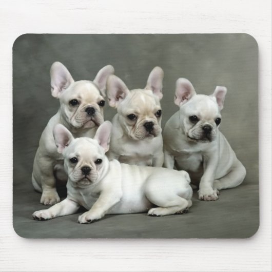 Niedlicher französischer Bulldog Welpe Hund Mousep Mousepad (Vorne)