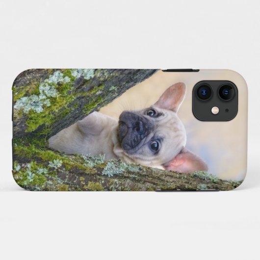 Niedlicher französischer Bulldog Welpe in einer Zw Case-Mate iPhone Hülle (Rückseite (Horizontal))
