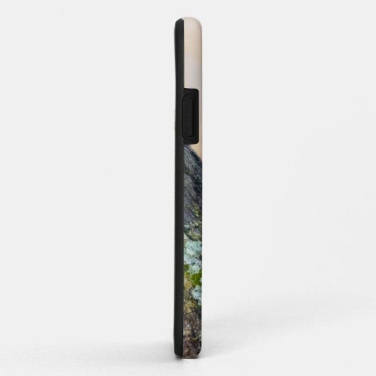 Niedlicher französischer Bulldog Welpe in einer Zw Case-Mate iPhone Hülle (Hinten/Rechts)