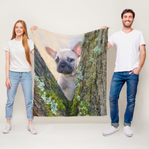 Niedlicher französischer Bulldog Welpe in einer Zw Fleecedecke