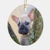 Niedlicher französischer Bulldog Welpe in einer Zw Keramik Ornament (Links)