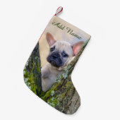 Niedlicher französischer Bulldog Welpe in einer Zw Kleiner Weihnachtsstrumpf (Vorderansicht (hängend))
