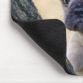 Niedlicher französischer Bulldog Welpe in einer Zw Mousepad (Ecke)