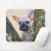 Niedlicher französischer Bulldog Welpe in einer Zw Mousepad (Mit Mouse)