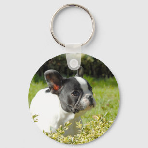 Niedlicher französischer Bulldogge auf Gras Schlüsselanhänger