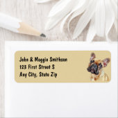 Niedlicher französischer Bulldogge Tierspass (Insitu)