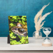 NIEDLICHER FROG FOTOPLATTE (Seite)