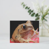 Niedlicher Frosch auf Blume Postkarte (Stehend Vorderseite)