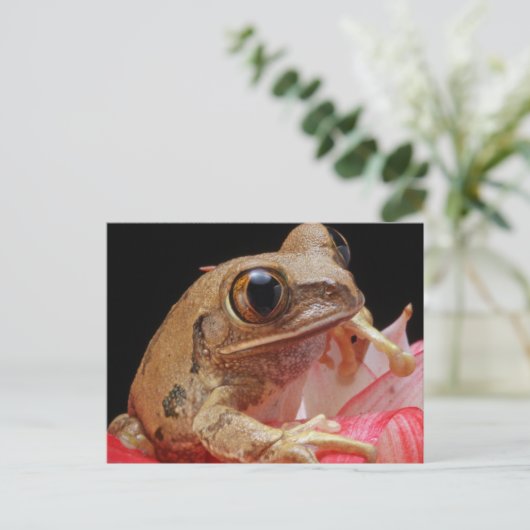 Niedlicher Frosch auf Blume Postkarte (Stehend Vorderseite)