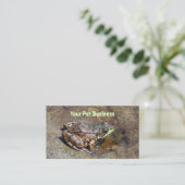 Niedlicher Frosch auf Felsen im Wasser Visitenkarte (Stehend Vorderseite)