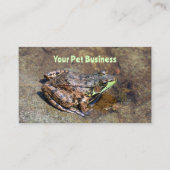 Niedlicher Frosch auf Felsen im Wasser Visitenkarte (Vorderseite)