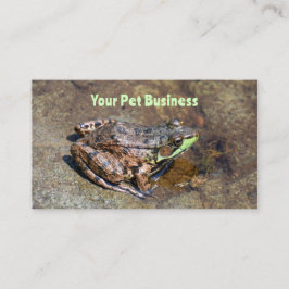 Niedlicher Frosch auf Felsen im Wasser Visitenkarte